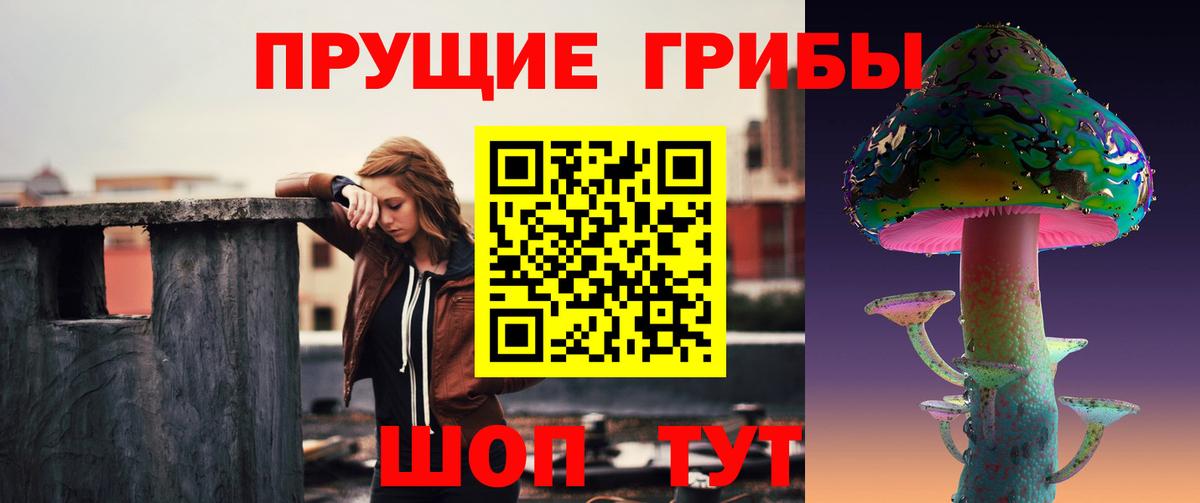 Гагарин  Псилоцибиновые грибы мухоморы  наркотики  Вход с VPN 